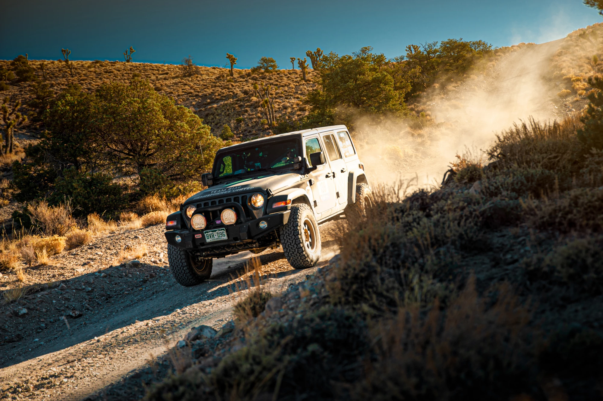 web_RegineTriasRR2020_Uhambu