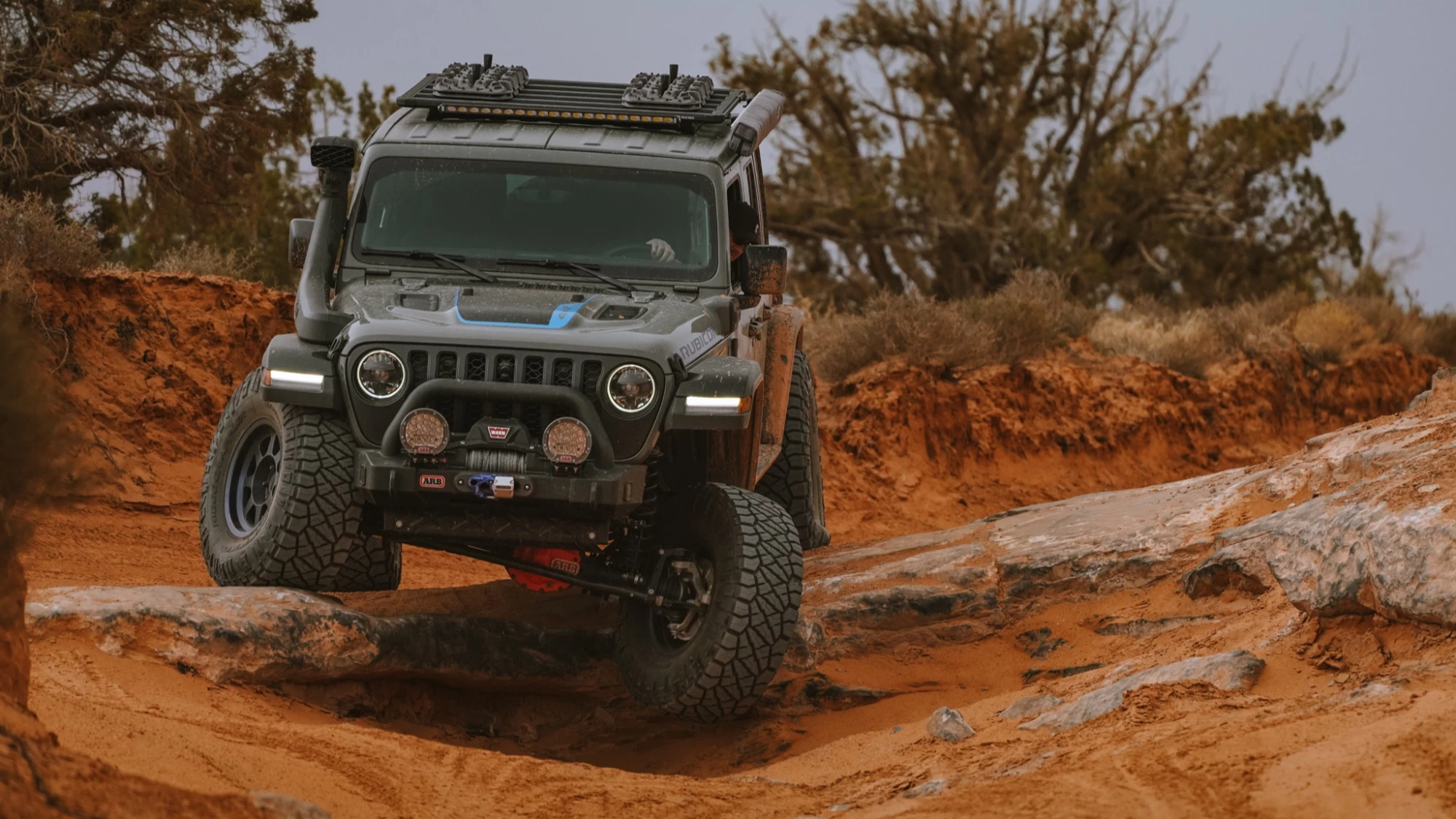 ARB813409V1-5-1.JPG