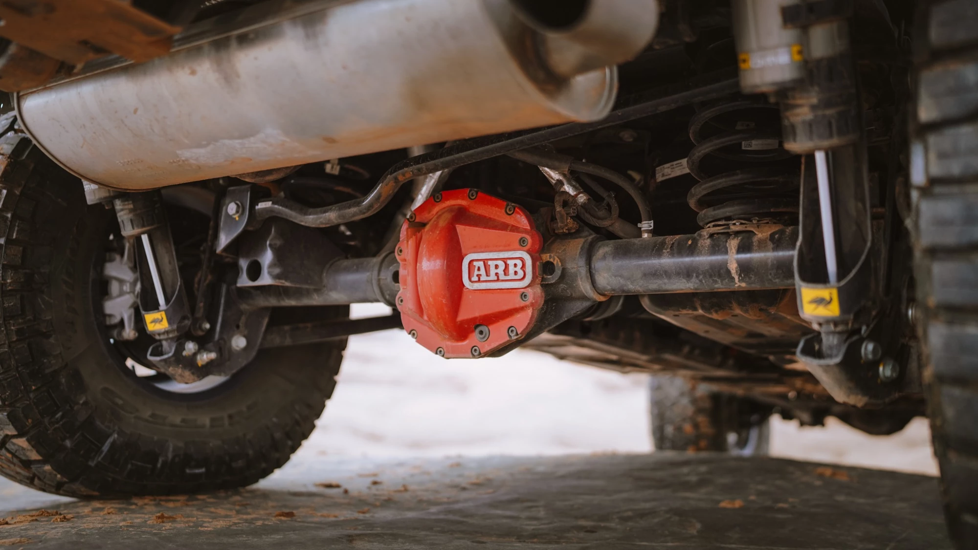 ARB813409V1-4.JPG