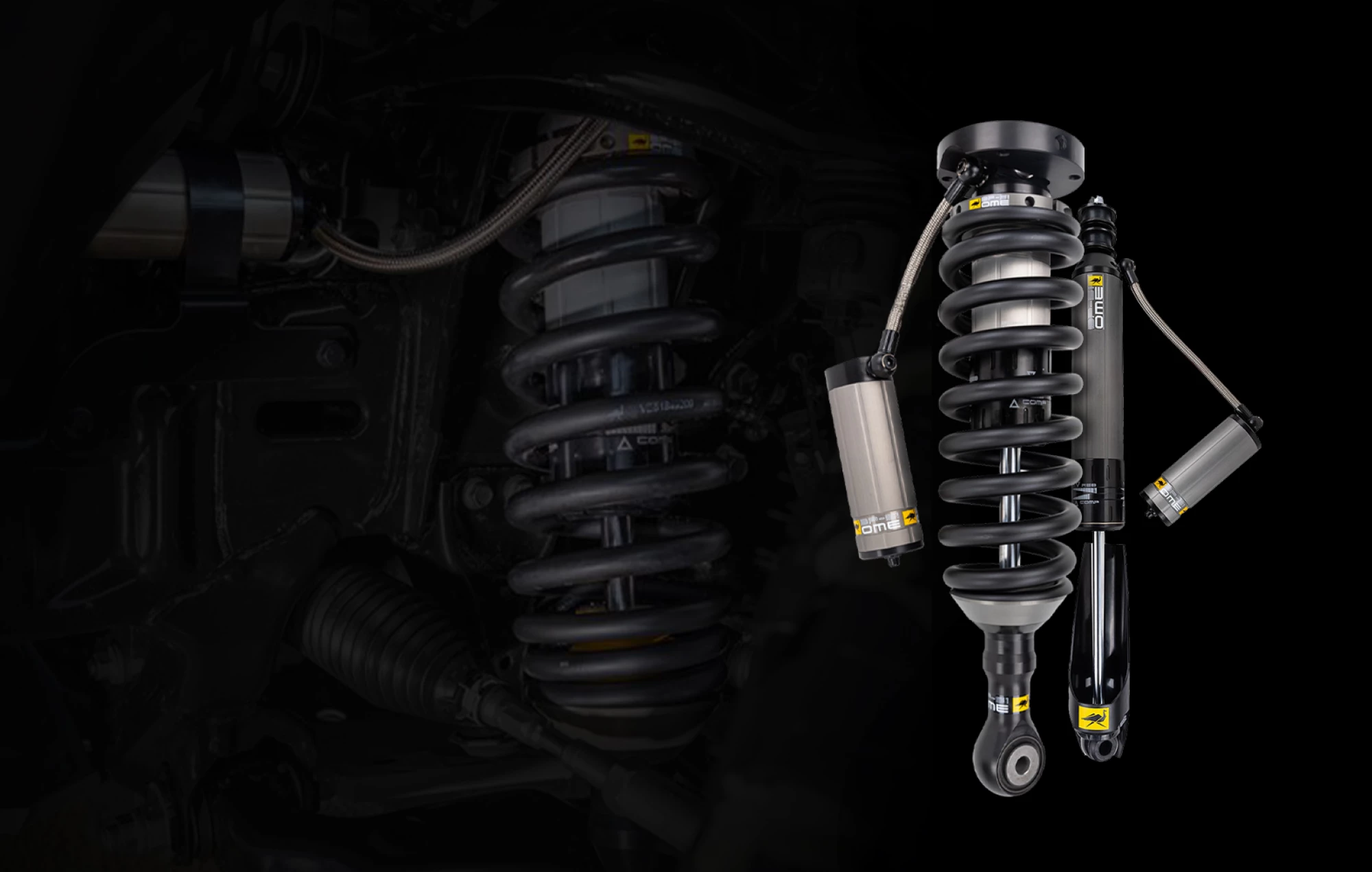 1575x1000SizingOMExBP51x2