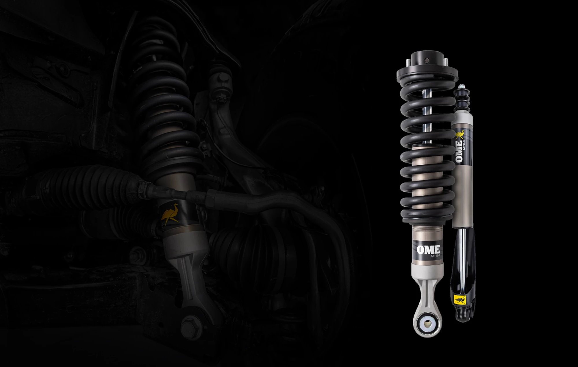 1575x1000SizingOMExMT64x2