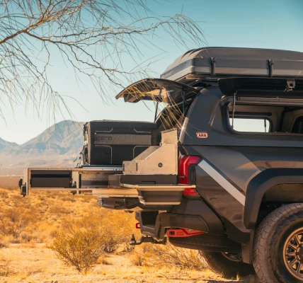 Frame 1597880647- canopy