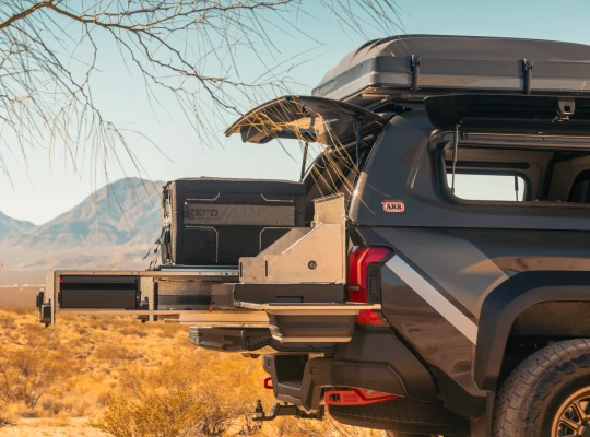 Frame 1597880647- canopy