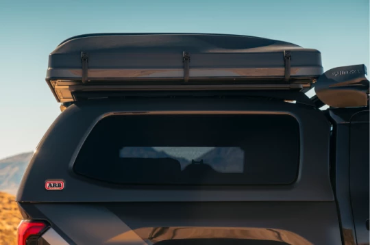 Frame 1597880642- canopy