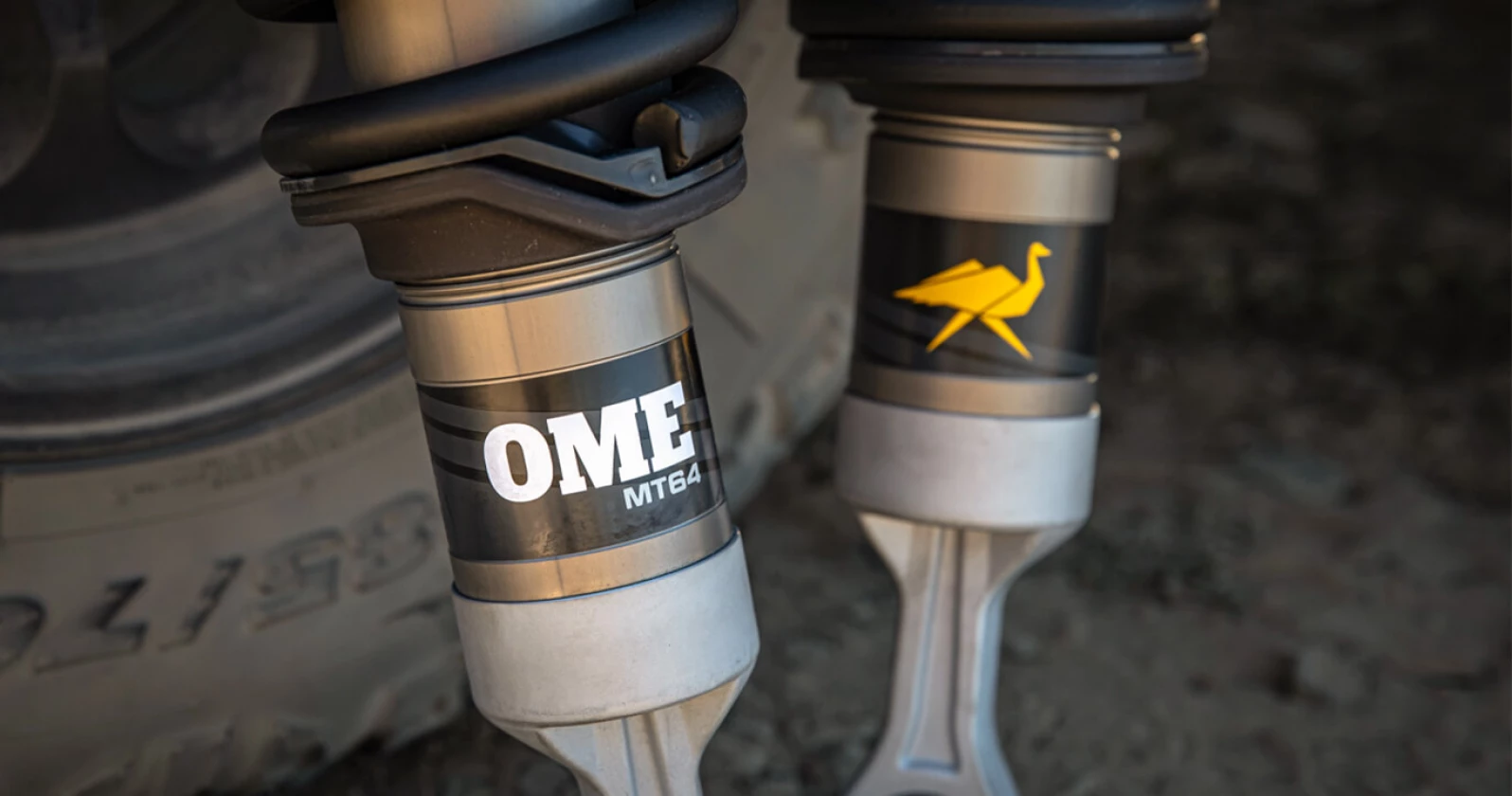 AMMSBFDDAWT Blog Artboard 1