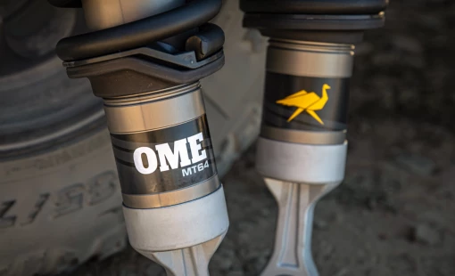 AMMSBFDDAWT Blog Artboard 1