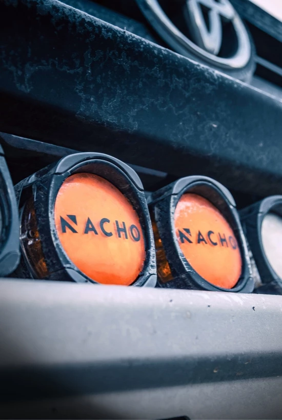 nacho close up_550x820