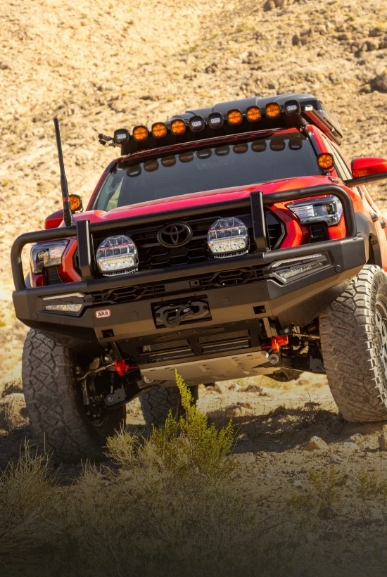 JAN 26 Featured Item - Bumpers