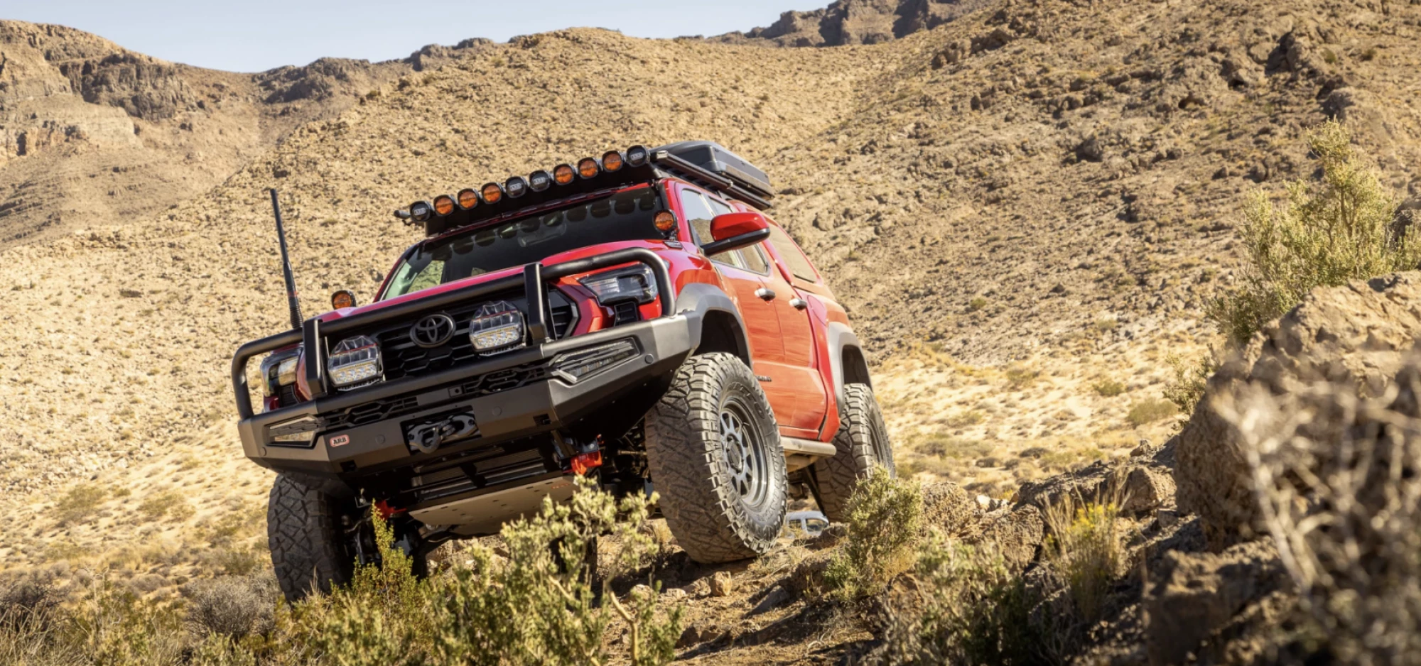 Screenshot 2026-01-19 at 9.01.04 PM