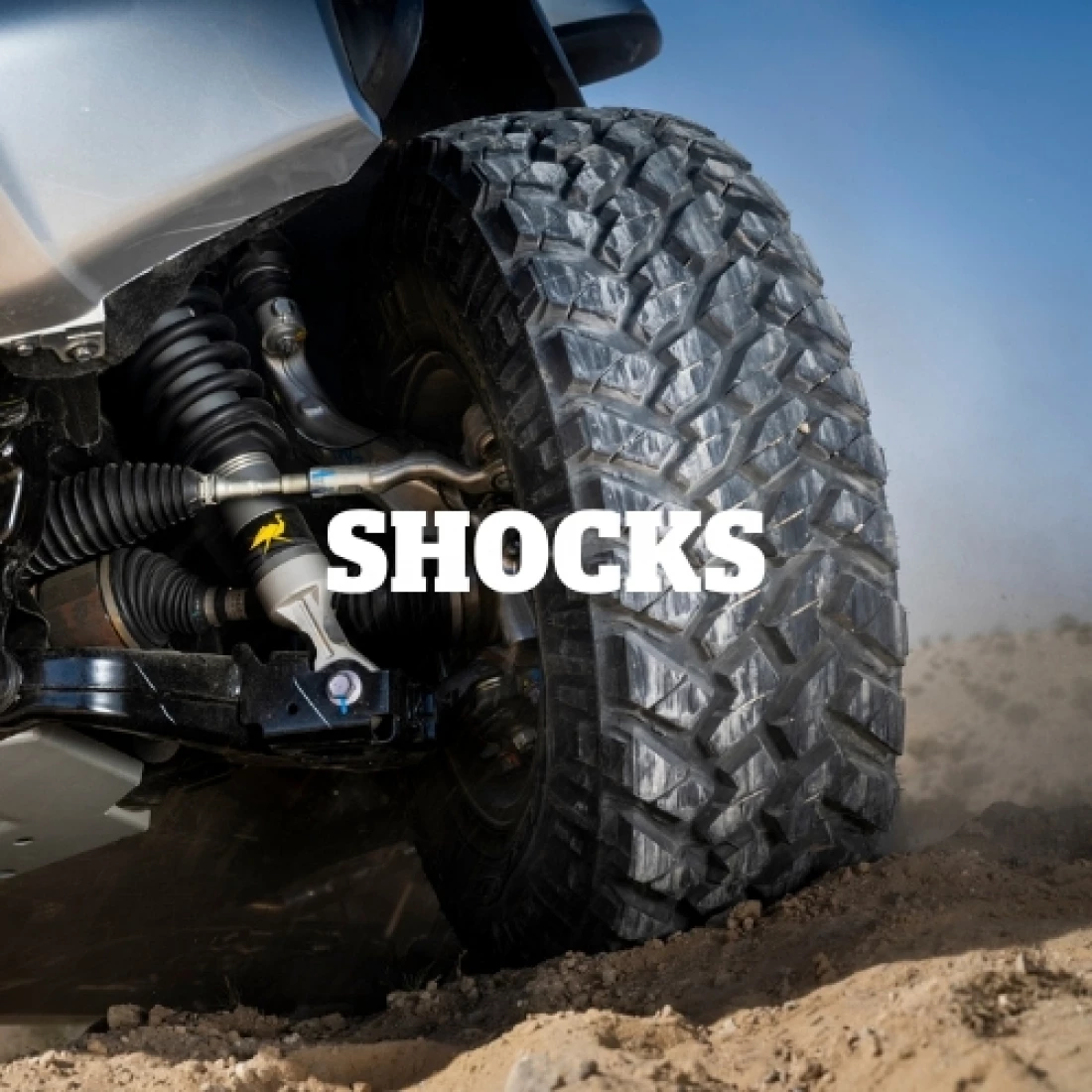 shocks spotlight