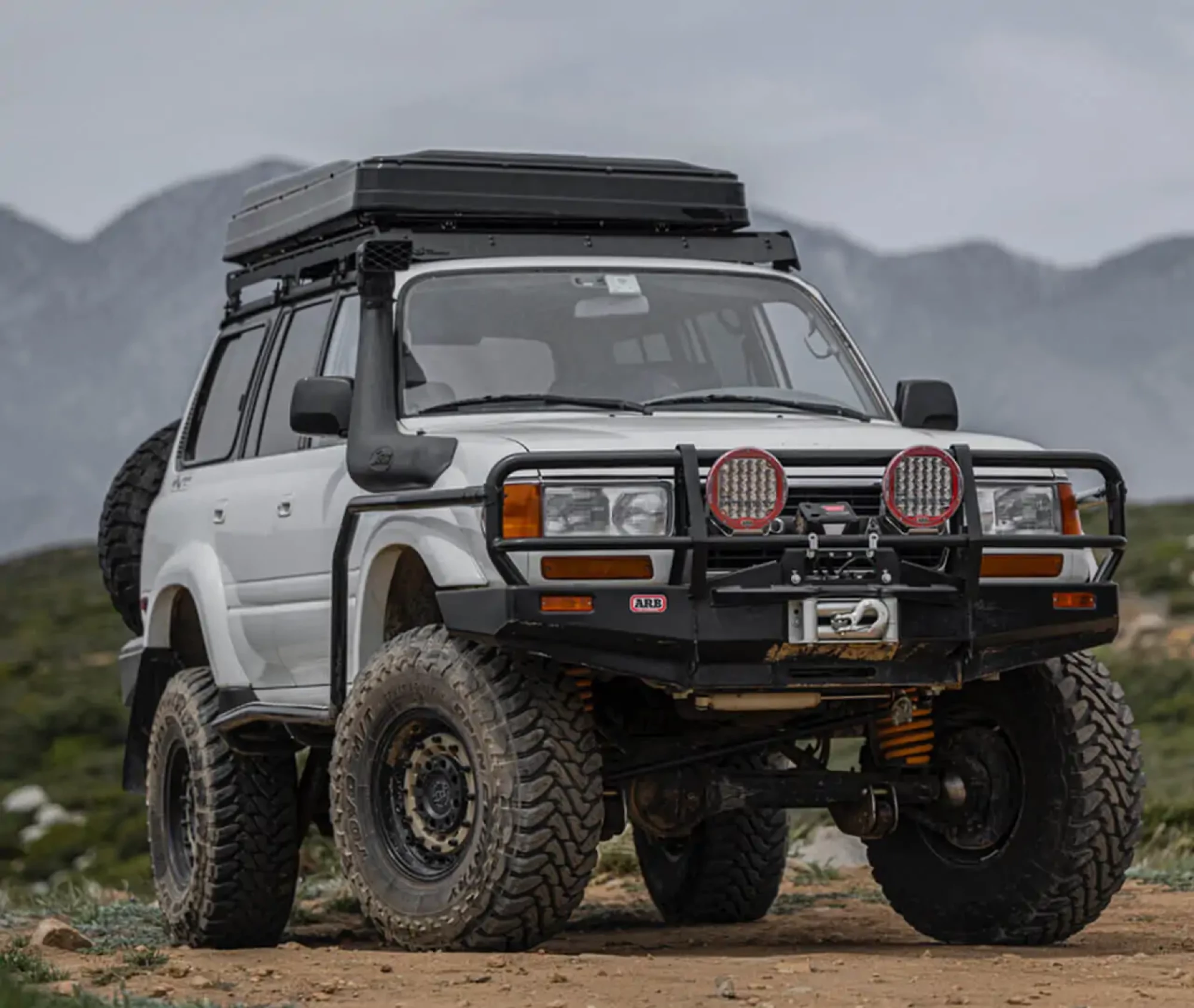 IMG_7699_1280x1280-1280x1080