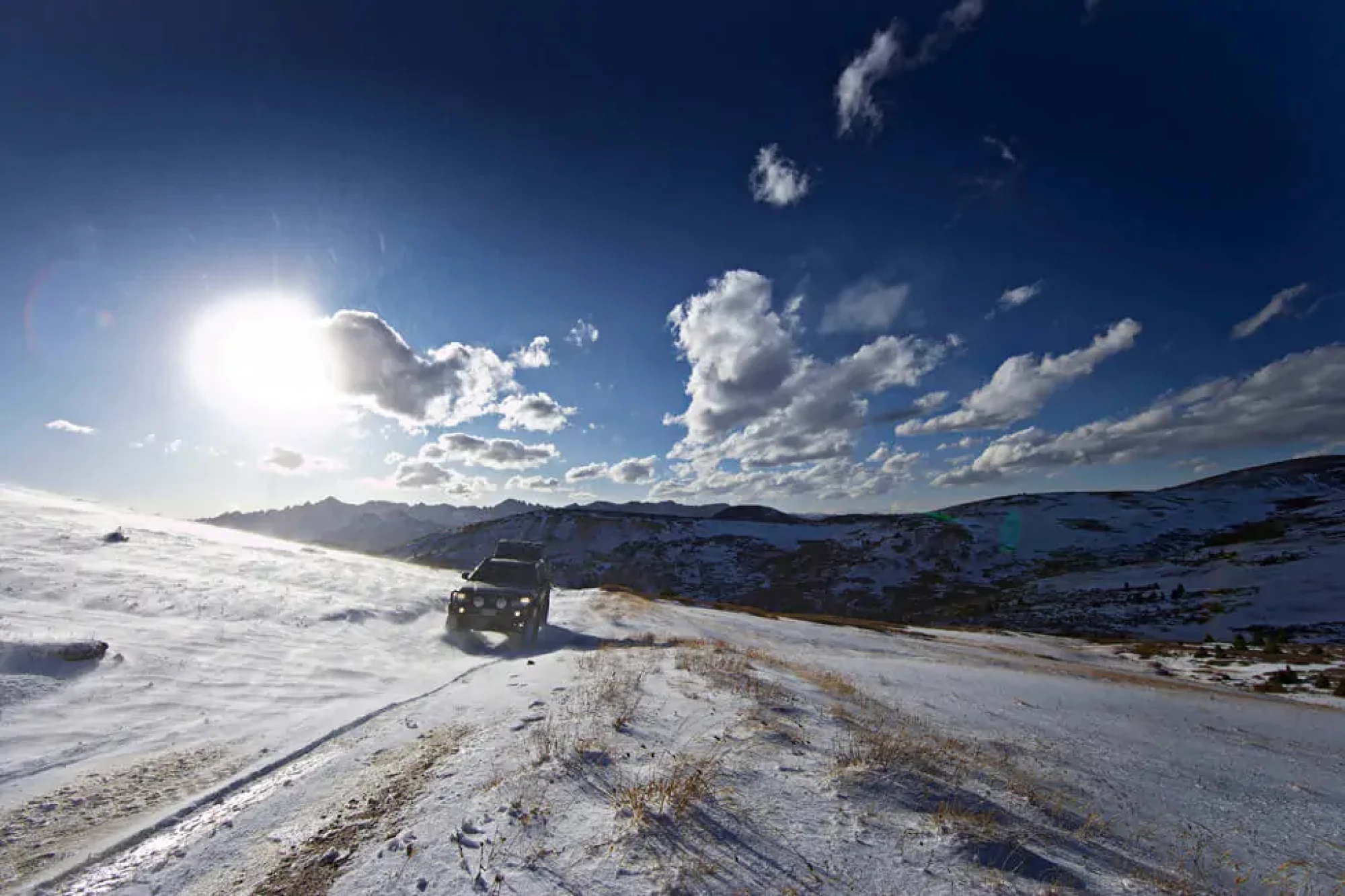 Wilz_ARB_HiRes_product_S9L7403