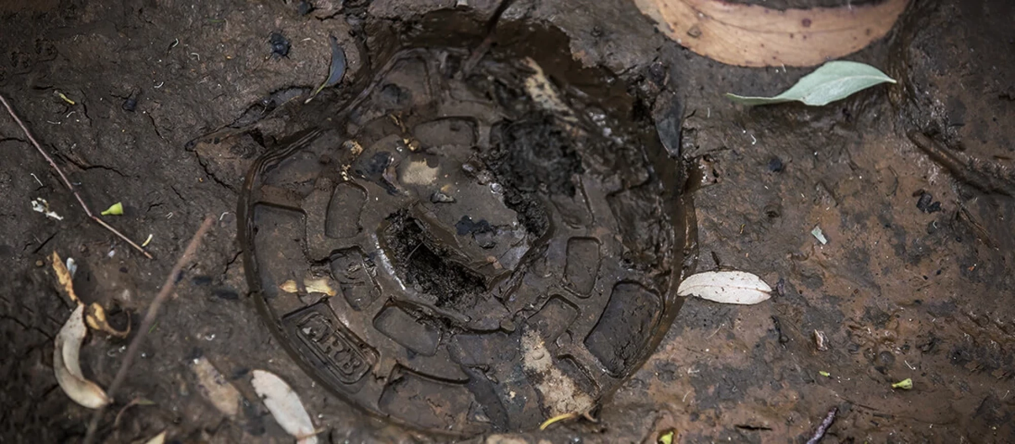 Jack_groundimg_1096x480