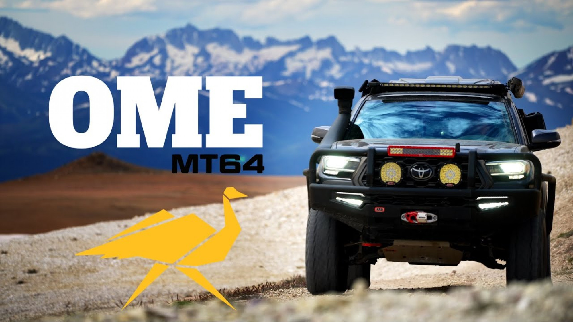 from-shocks-to-phlox-thumbnail