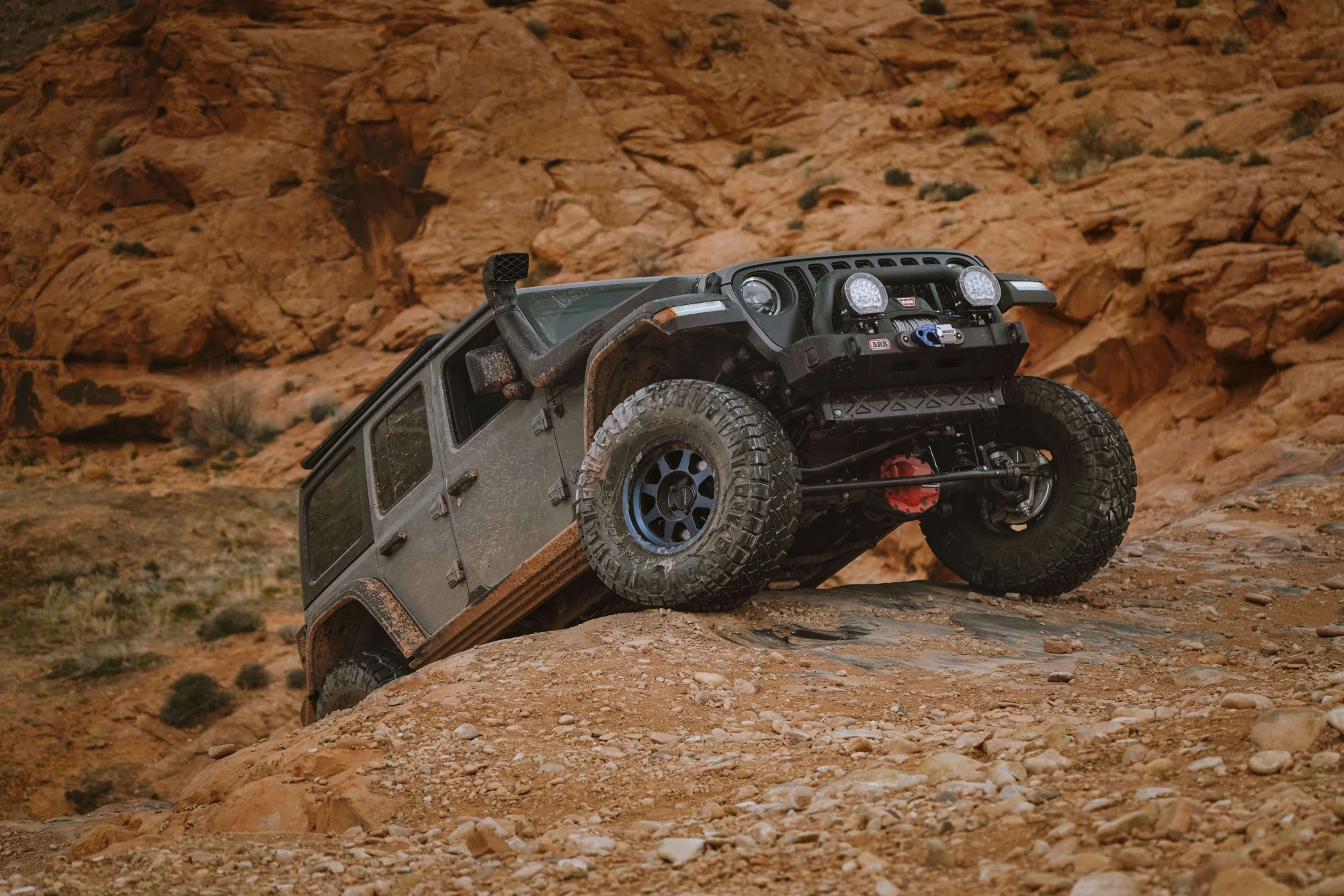 Photo 4-4-2023, 10 35 35 am