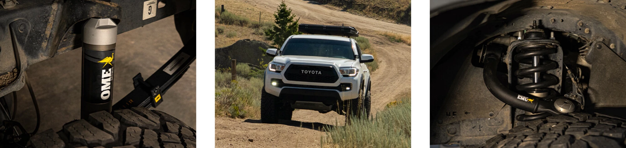 AMMSBFDDAWT Blog Artboard 7