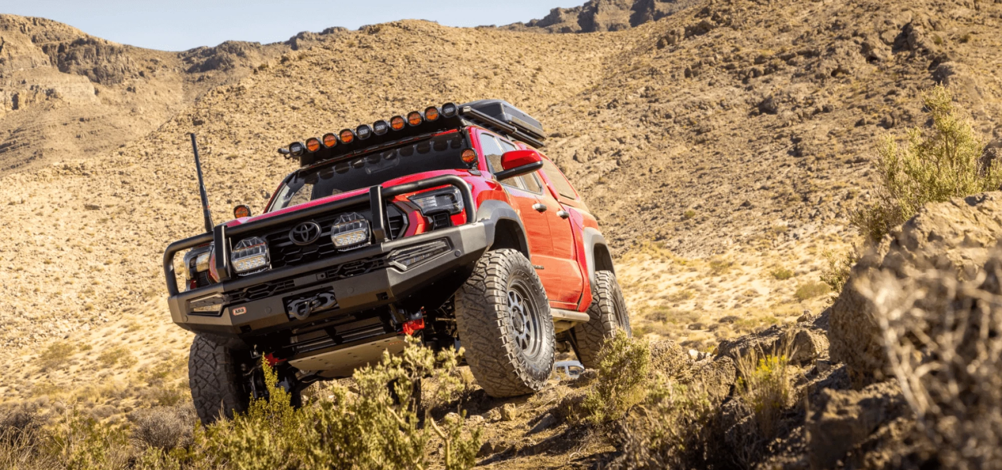 Screenshot 2026-01-19 at 9.01.04 PM